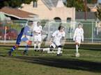 Photo from the gallery "St. Bernard @ Verbum Dei"