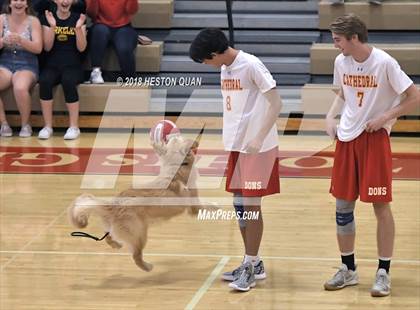 Thumbnail 1 in Cathedral Catholic @ Orange Lutheran (CIF State SoCal D2 Semi-Final) photogallery.