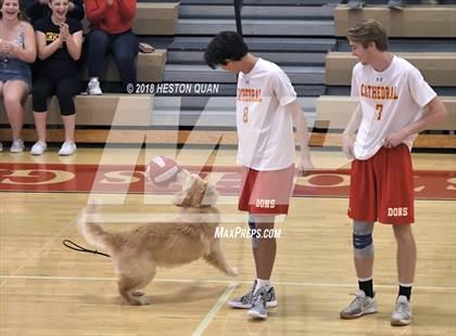 Thumbnail 2 in Cathedral Catholic @ Orange Lutheran (CIF State SoCal D2 Semi-Final) photogallery.