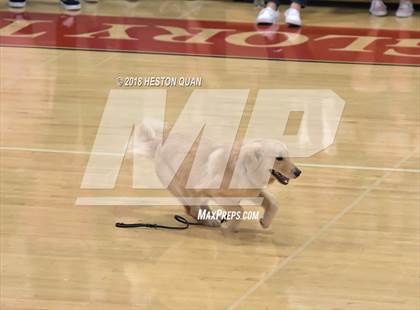Thumbnail 3 in Cathedral Catholic @ Orange Lutheran (CIF State SoCal D2 Semi-Final) photogallery.