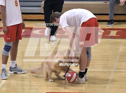 Thumbnail 3 in Cathedral Catholic @ Orange Lutheran (CIF State SoCal D2 Semi-Final) photogallery.