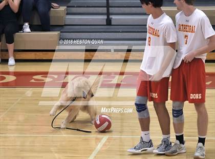 Thumbnail 1 in Cathedral Catholic @ Orange Lutheran (CIF State SoCal D2 Semi-Final) photogallery.