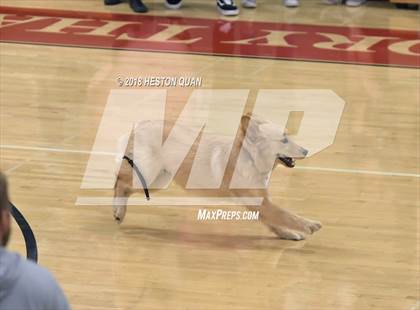 Thumbnail 2 in Cathedral Catholic @ Orange Lutheran (CIF State SoCal D2 Semi-Final) photogallery.