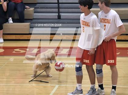 Thumbnail 2 in Cathedral Catholic @ Orange Lutheran (CIF State SoCal D2 Semi-Final) photogallery.