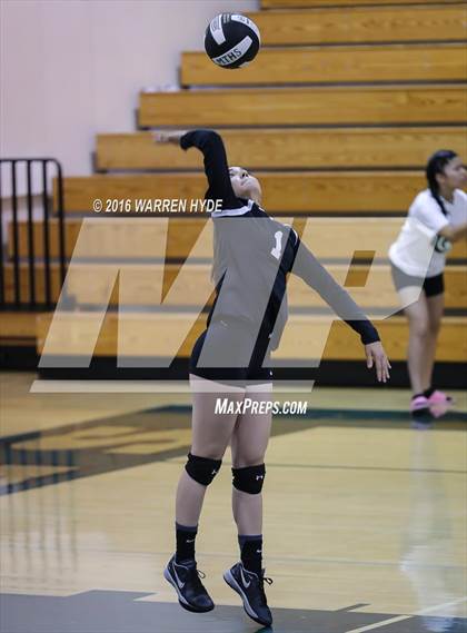 Thumbnail 1 in Davis @ Monterey Trail photogallery.