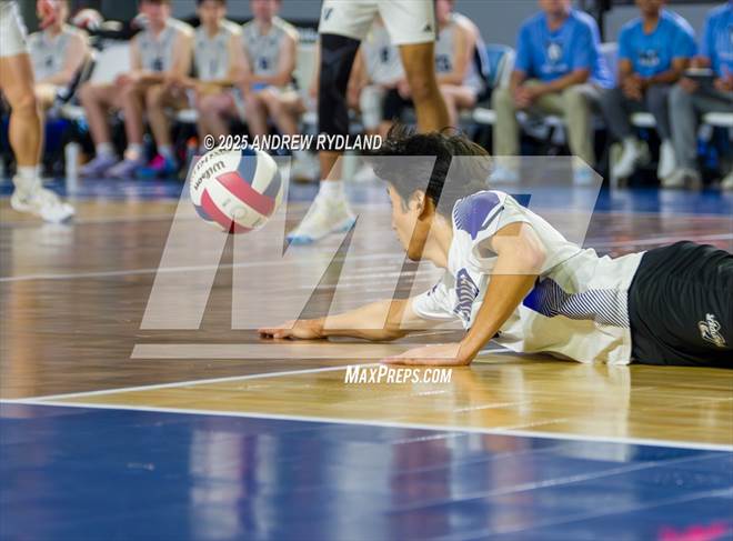 null - Photo 01
