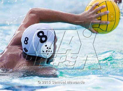 Thumbnail 3 in San Pedro @ Birmingham photogallery.