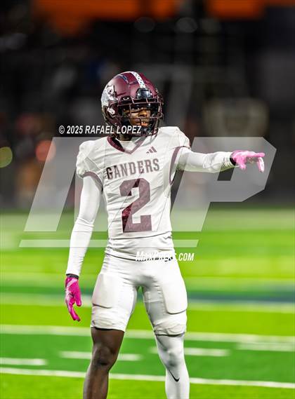 Thumbnail 1 in Lee @ Lamar Consolidated photogallery.