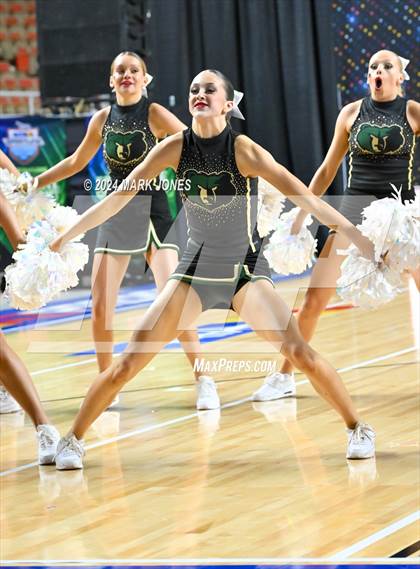 Thumbnail 2 in Basha - Dance Game Day Championships (AIA Division I) photogallery.