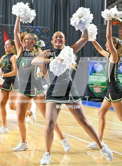 Thumbnail 1 in Basha - Dance Game Day Championships (AIA Division I)  photogallery.