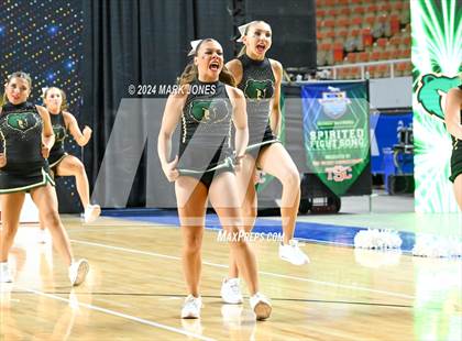 Thumbnail 1 in Basha - Dance Game Day Championships (AIA Division I) photogallery.