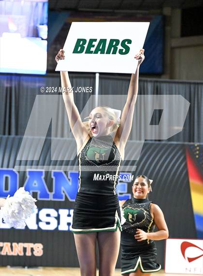 Thumbnail 3 in Basha - Dance Game Day Championships (AIA Division I)  photogallery.