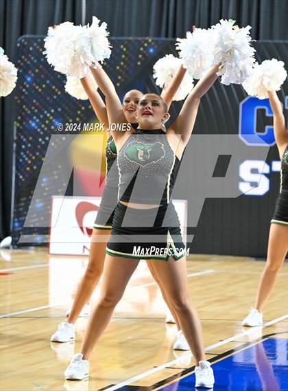 Thumbnail 1 in Basha - Dance Game Day Championships (AIA Division I)  photogallery.