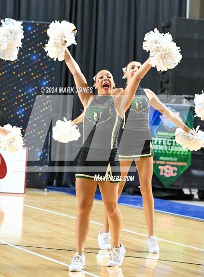Thumbnail 3 in Basha - Dance Game Day Championships (AIA Division I) photogallery.