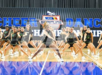 Thumbnail 3 in Basha - Dance Game Day Championships (AIA Division I) photogallery.