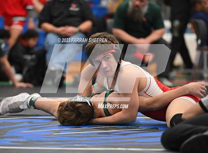 Thumbnail 3 in 2023 Chicken Wing photogallery.