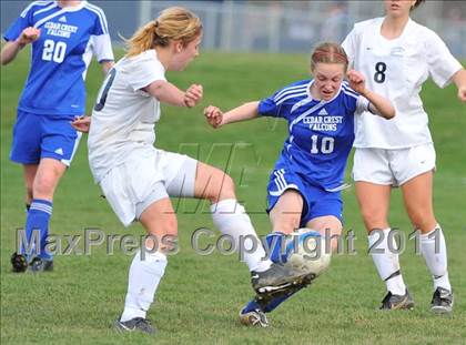 Thumbnail 2 in Cedar Crest @ Penn Manor photogallery.