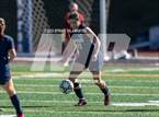 Photo from the gallery "Los Gatos @ Aptos"