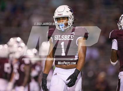 Thumbnail 3 in Nederland @ Silsbee photogallery.