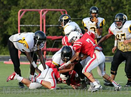 Thumbnail 1 in Boyd vs. Garland photogallery.