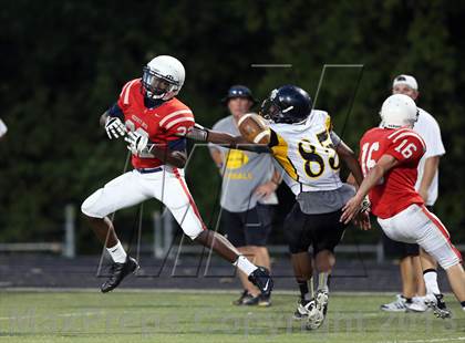 Thumbnail 2 in Boyd vs. Garland photogallery.