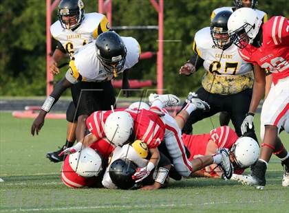 Thumbnail 3 in Boyd vs. Garland photogallery.