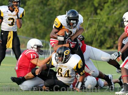 Thumbnail 3 in Boyd vs. Garland photogallery.