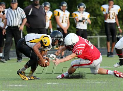 Thumbnail 1 in Boyd vs. Garland photogallery.