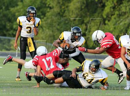 Thumbnail 2 in Boyd vs. Garland photogallery.