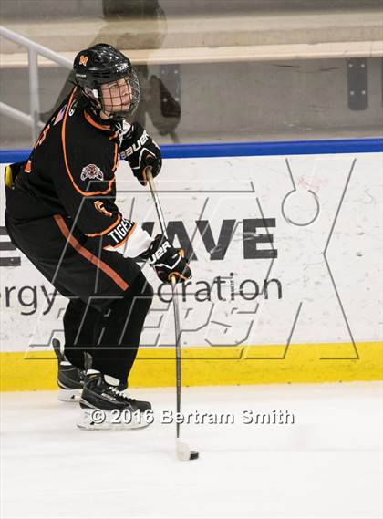 Thumbnail 3 in Mamaroneck vs. Pittsford (NYSPHSAA Division 1 Semifinal) photogallery.