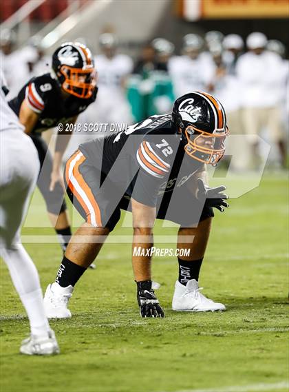 Thumbnail 1 in Homestead vs Los Gatos (Levi's Stadium Series) photogallery.
