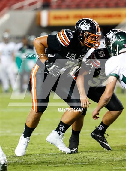 Thumbnail 3 in Homestead vs Los Gatos (Levi's Stadium Series) photogallery.
