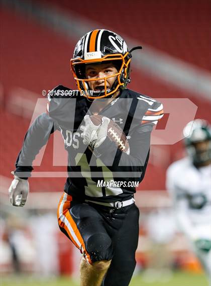Thumbnail 2 in Homestead vs Los Gatos (Levi's Stadium Series) photogallery.