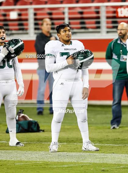 Thumbnail 3 in Homestead vs Los Gatos (Levi's Stadium Series) photogallery.