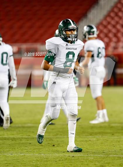 Thumbnail 3 in Homestead vs Los Gatos (Levi's Stadium Series) photogallery.