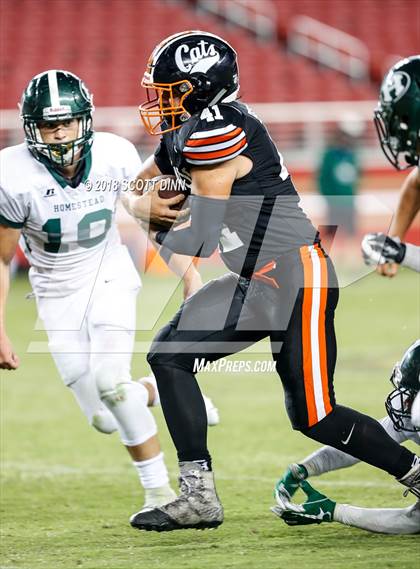 Thumbnail 3 in Homestead vs Los Gatos (Levi's Stadium Series) photogallery.