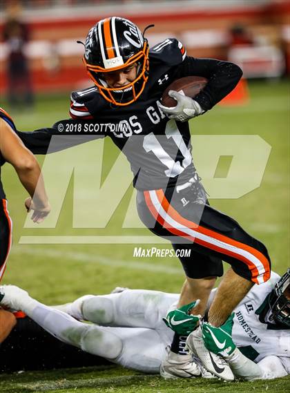 Thumbnail 2 in Homestead vs Los Gatos (Levi's Stadium Series) photogallery.