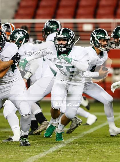 Thumbnail 1 in Homestead vs Los Gatos (Levi's Stadium Series) photogallery.