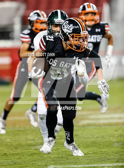 Thumbnail 1 in Homestead vs Los Gatos (Levi's Stadium Series) photogallery.