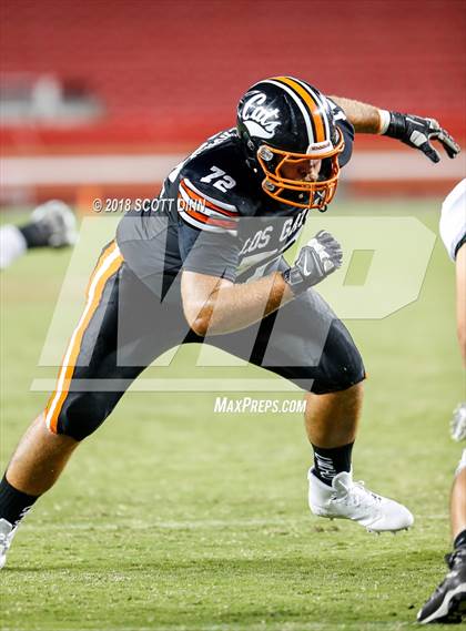 Thumbnail 1 in Homestead vs Los Gatos (Levi's Stadium Series) photogallery.