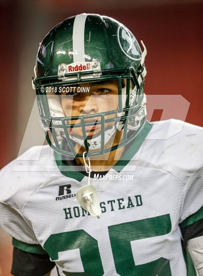 Thumbnail 3 in Homestead vs Los Gatos (Levi's Stadium Series) photogallery.