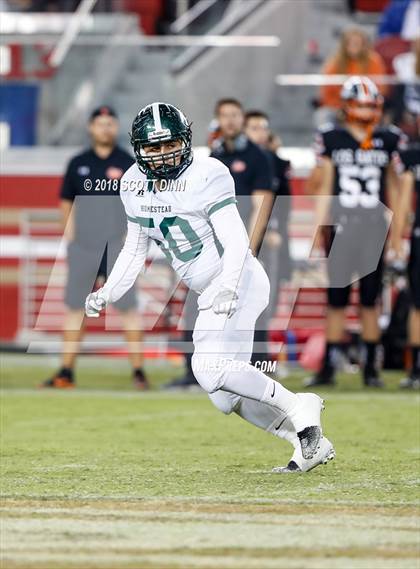 Thumbnail 2 in Homestead vs Los Gatos (Levi's Stadium Series) photogallery.