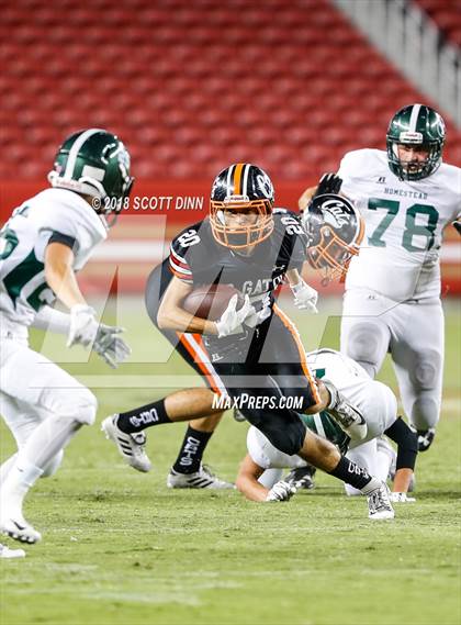 Thumbnail 3 in Homestead vs Los Gatos (Levi's Stadium Series) photogallery.