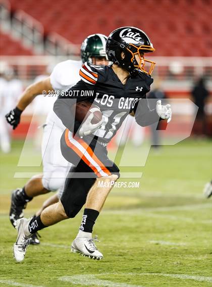 Thumbnail 1 in Homestead vs Los Gatos (Levi's Stadium Series) photogallery.