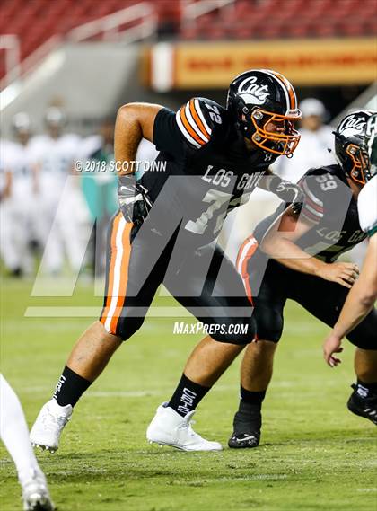 Thumbnail 2 in Homestead vs Los Gatos (Levi's Stadium Series) photogallery.