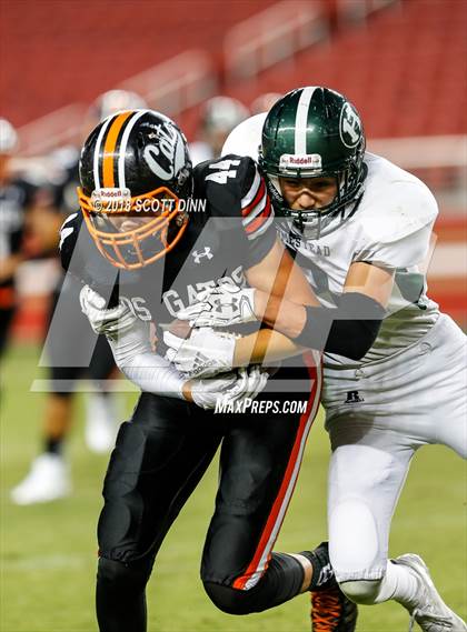 Thumbnail 1 in Homestead vs Los Gatos (Levi's Stadium Series) photogallery.