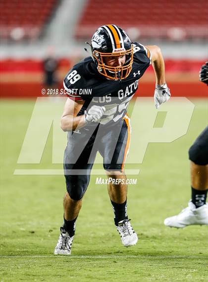 Thumbnail 2 in Homestead vs Los Gatos (Levi's Stadium Series) photogallery.