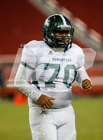 Thumbnail 2 in Homestead vs Los Gatos (Levi's Stadium Series) photogallery.