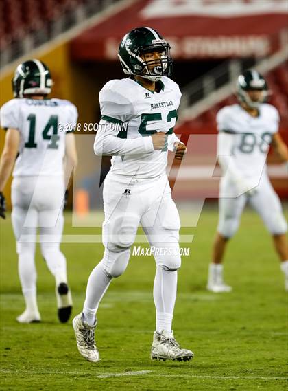 Thumbnail 2 in Homestead vs Los Gatos (Levi's Stadium Series) photogallery.