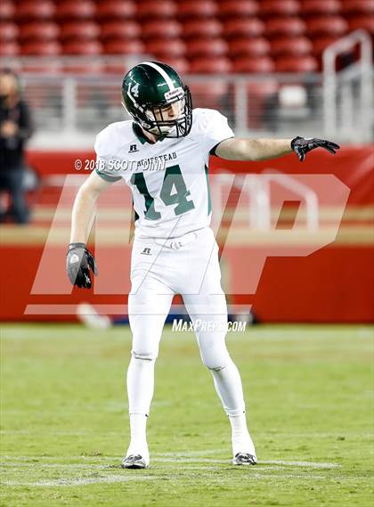 Thumbnail 2 in Homestead vs Los Gatos (Levi's Stadium Series) photogallery.